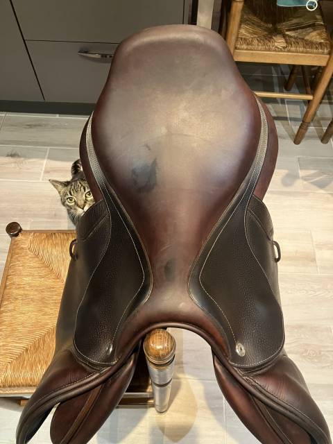 Sella mista CWD  18" - 2019