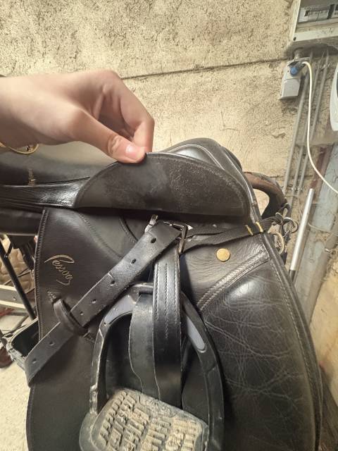 Sella da salto ostacoli Pessoa  16.5" - 2016