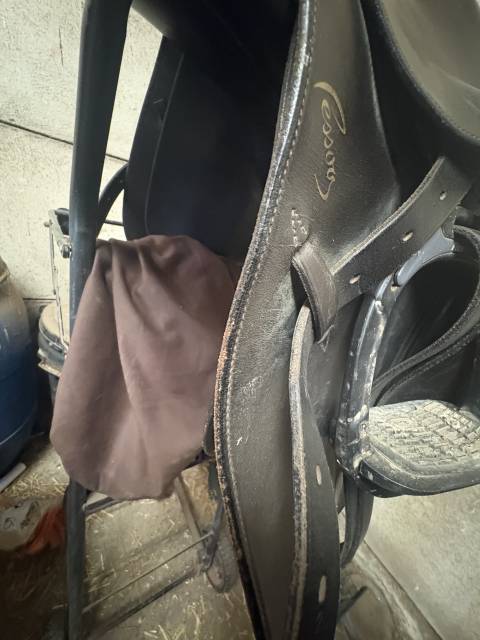 Sella da salto ostacoli Pessoa  16.5" - 2016