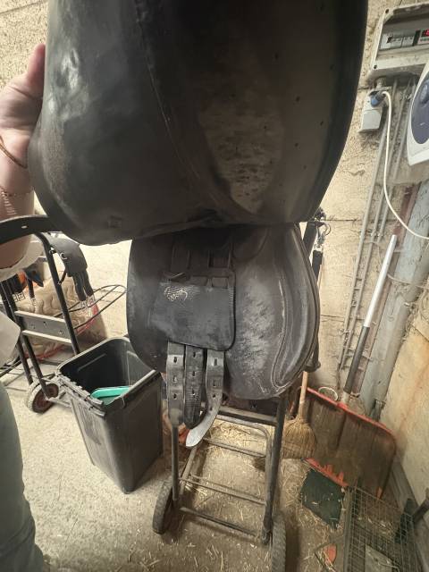 Sella da salto ostacoli Pessoa  16.5" - 2016