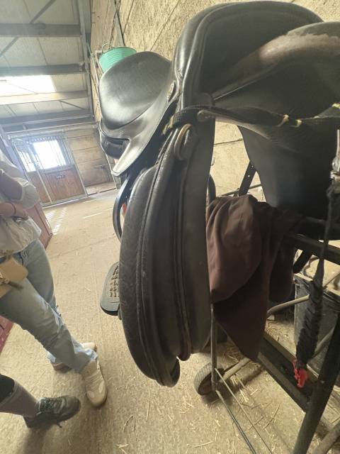 Sella da salto ostacoli Pessoa  16.5" - 2016