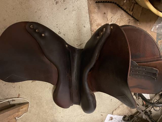 Sella da salto ostacoli Antar&egrave;s  17" - 2013