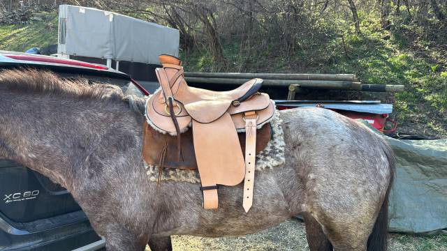 Sella da trekking  Typ&eacute;e western de Thomas Pfliger  16.5" - 2025