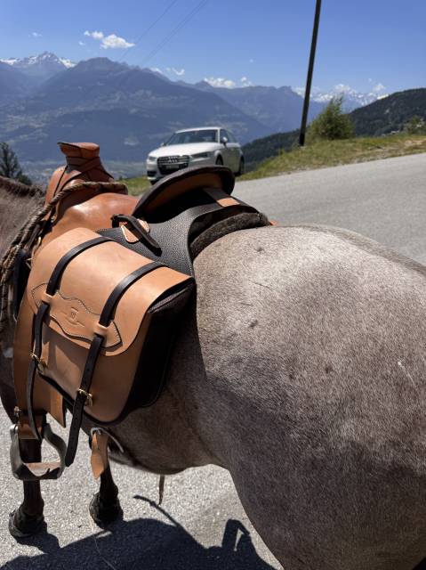 Sella da trekking  Typ&eacute;e western de Thomas Pfliger  16.5" - 2025