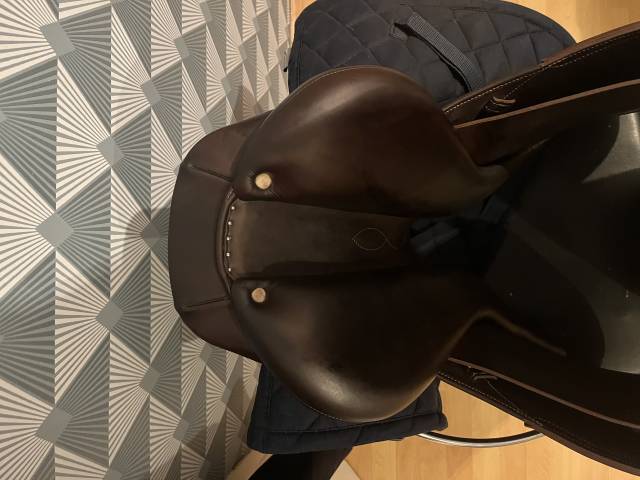 Sella da salto ostacoli Antar&egrave;s  17.5" - 2023