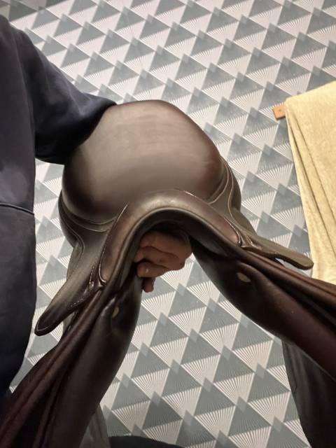 Sella da salto ostacoli Antar&egrave;s  17.5" - 2023