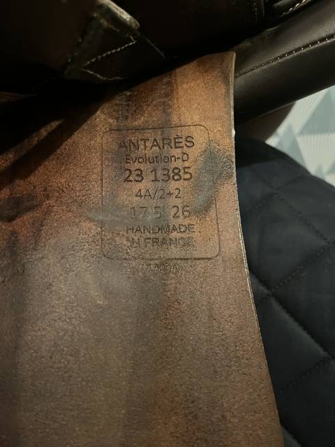 Sella da salto ostacoli Antar&egrave;s  17.5" - 2023