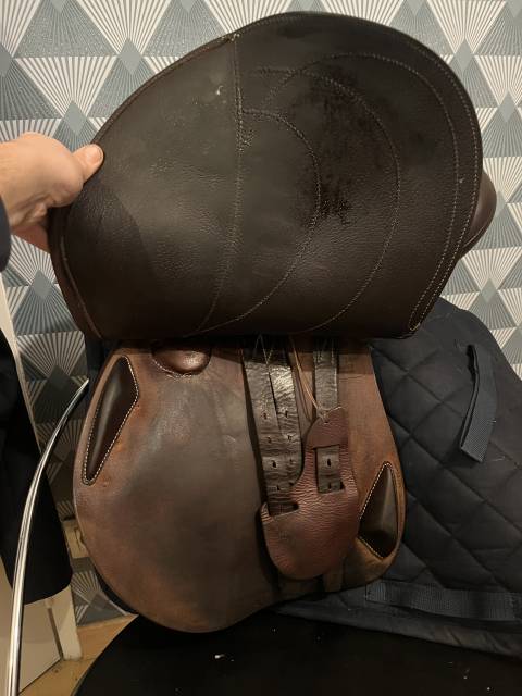 Sella da salto ostacoli Antar&egrave;s  17.5" - 2023