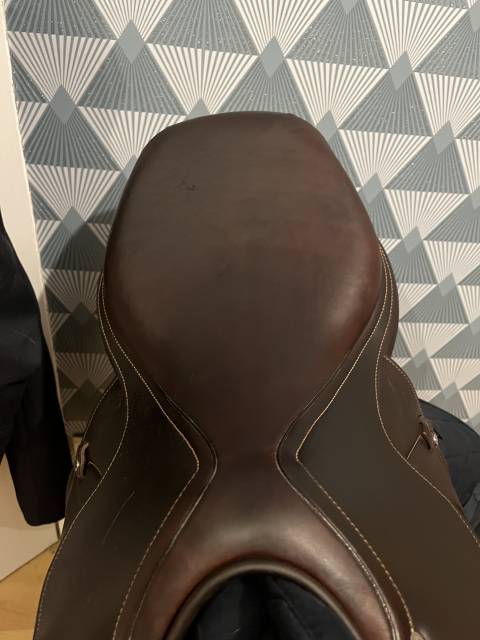 Sella da salto ostacoli Antar&egrave;s  17.5" - 2023