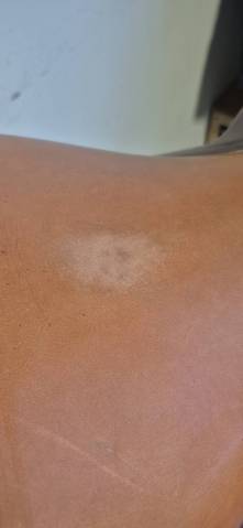 Sella mista Geologic  17.5" - 2001