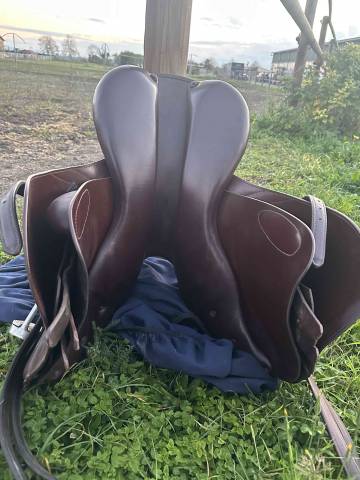 Sella mista Prestige Italia  17" - 2010