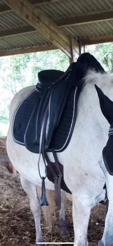 Sella da dressage Devoucoux Je ne sais pas ni l&rsquo;ann&eacute;e  17.5" - 2020