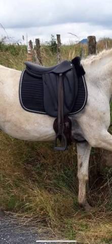 Sella da dressage Devoucoux Je ne sais pas ni l&rsquo;ann&eacute;e  17.5" - 2020