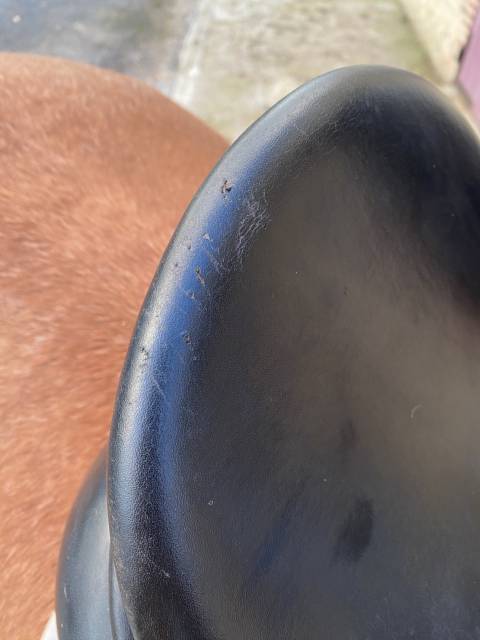 Sella da dressage  Anky 18" - 2010