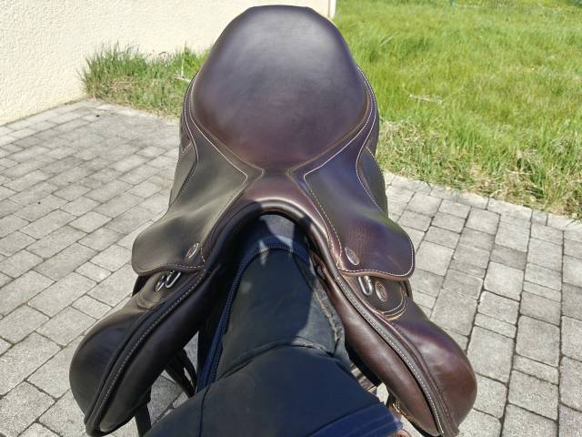 Sella da salto ostacoli Prestige Italia  16" - 2019