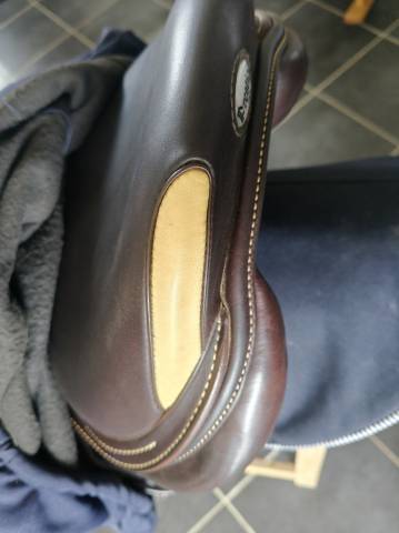 Sella da salto ostacoli Prestige Italia  16" - 2019