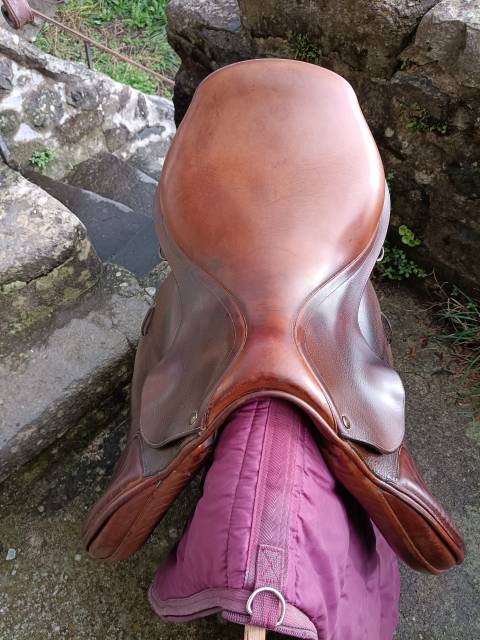 Sella mista Forestier  17" - 2010