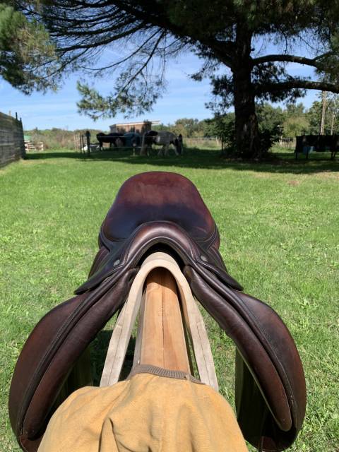 Sella da dressage Butet  17" - 2008