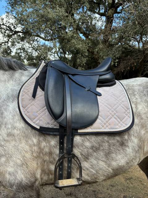 Sella da dressage Arena Dressage  18" - 2025