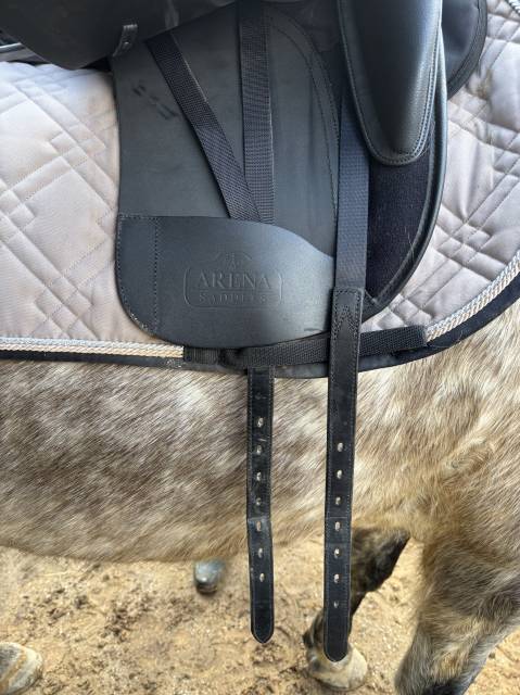 Sella da dressage Arena Dressage  18" - 2025