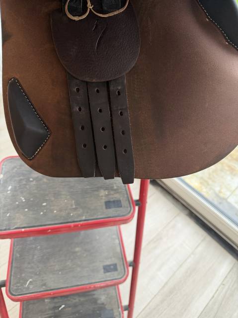 Sella da salto ostacoli Antar&egrave;s  17.5" - 2022