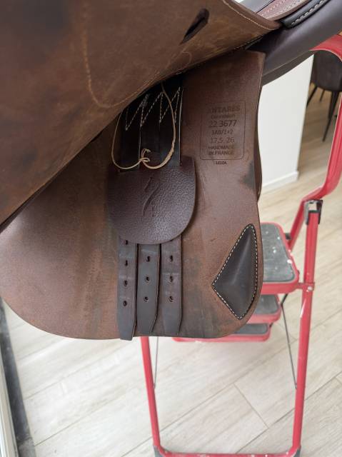 Sella da salto ostacoli Antar&egrave;s  17.5" - 2022