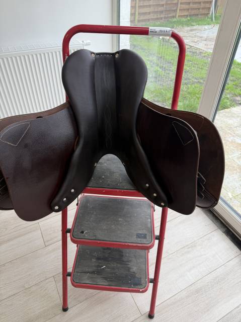 Sella da salto ostacoli Antar&egrave;s  17.5" - 2022