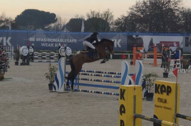 Cavallo salto ostacoli 