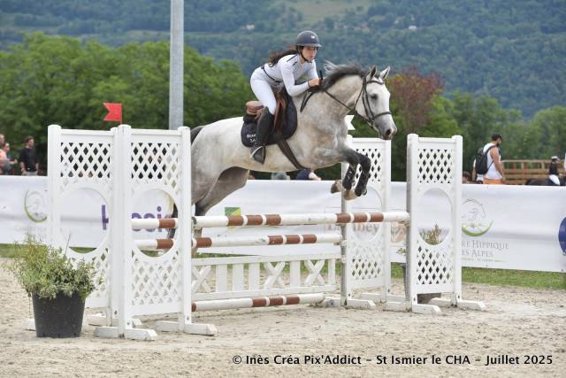 Cavalla Zangersheide In vendita 2020 Grigio