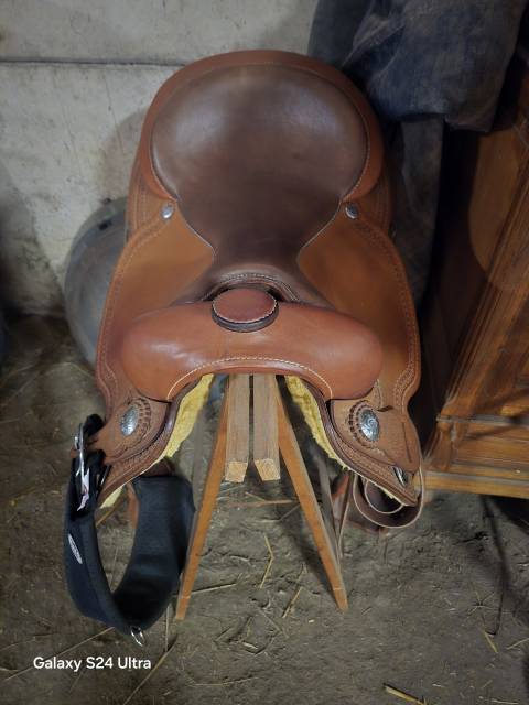 Sella western Pool's 2010 16" - 2024