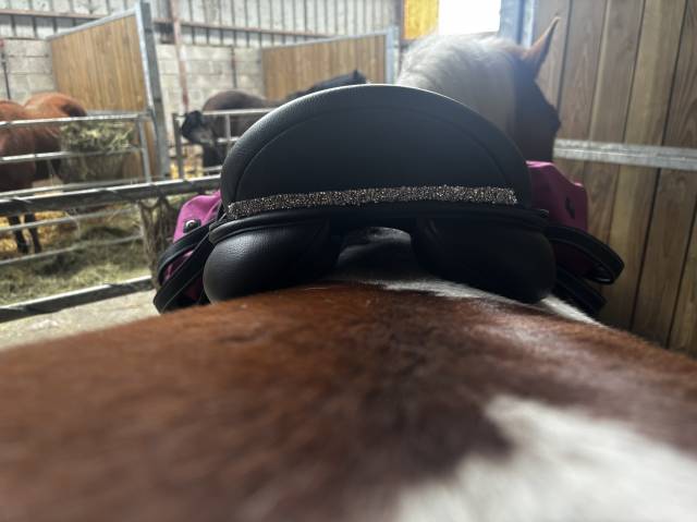 Sella mista Wintec Waldausen confort  17.5" - 2026