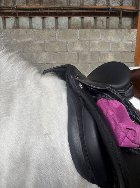 Sella mista Wintec Waldausen confort  17.5" - 2026