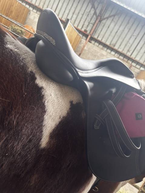 Sella mista Wintec Waldausen confort  17.5" - 2026