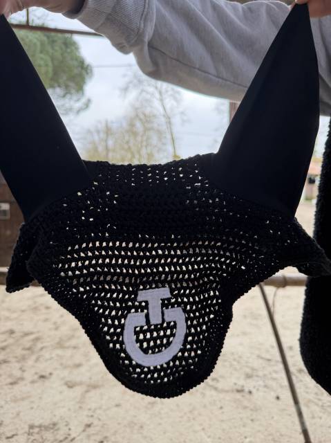  Cavalleria Toscana Occasione