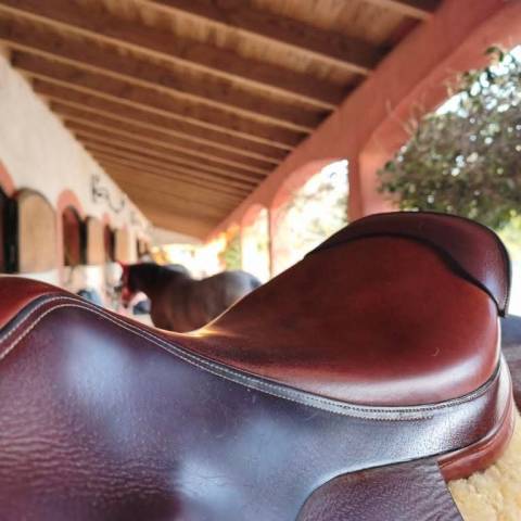 Sella mista Forestier  17.5" - 2018