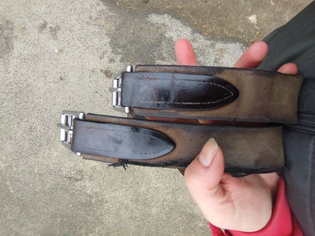 Sella mista CWD  17.5" - 2021