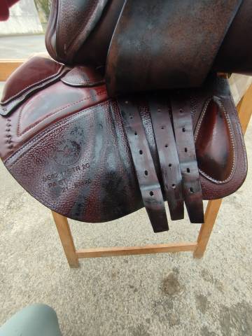 Sella mista CWD  17.5" - 2021