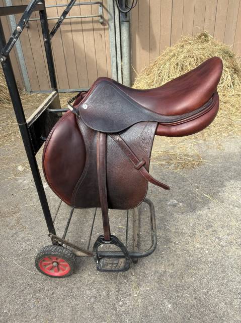 Sella da salto ostacoli CWD  17.5" - 2023