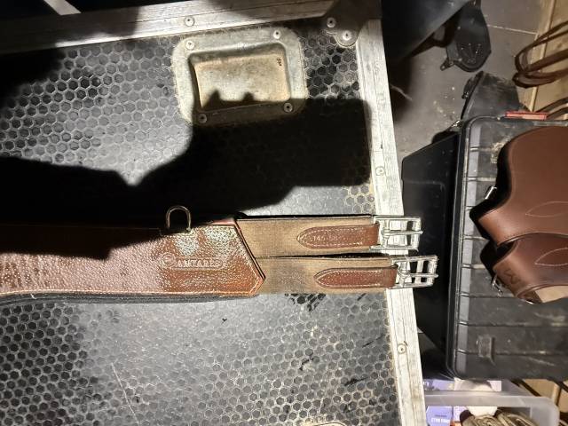  Antar&egrave;s Occasione