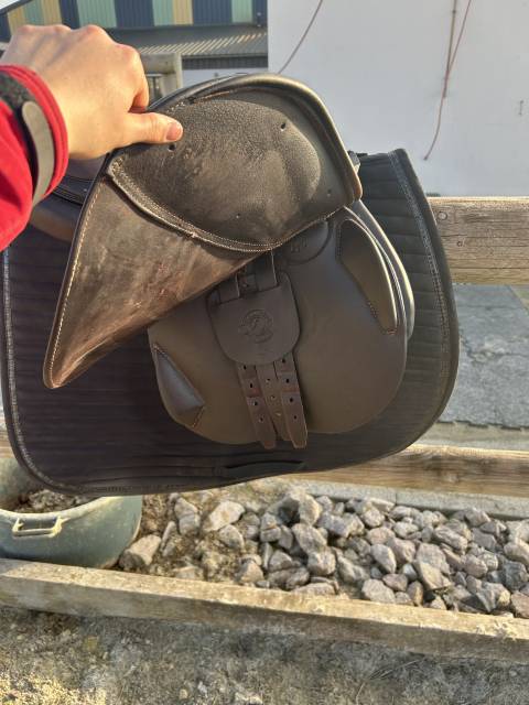 Sella mista Antar&egrave;s Signature  17" - 2023