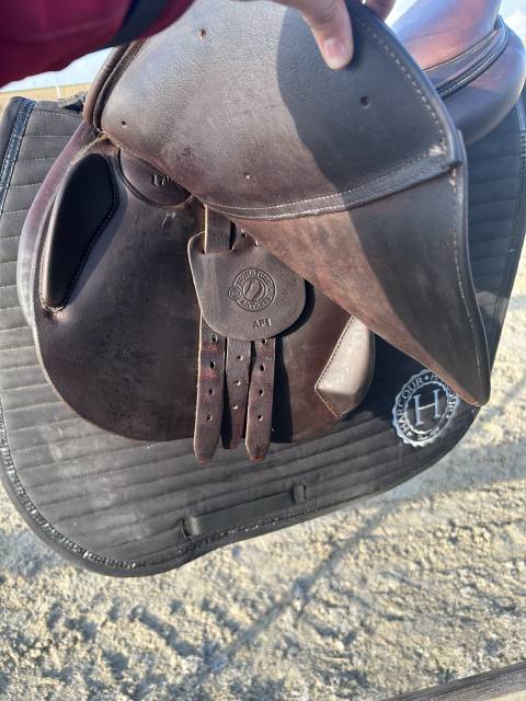 Sella mista Antar&egrave;s Signature  17" - 2023