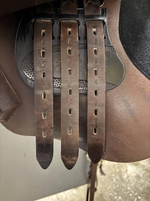 Sella da salto ostacoli  Equiline  17" - 2022