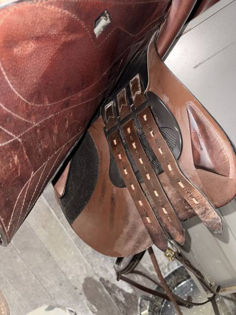 Sella da salto ostacoli  Equiline  17" - 2022