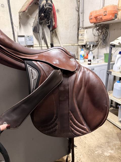 Sella da salto ostacoli  Equiline  17" - 2022