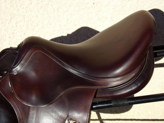 Sella da salto ostacoli Antar&egrave;s  17.5" - 2023