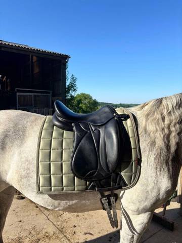 Sella da dressage Devoucoux Malika 18" - 2006