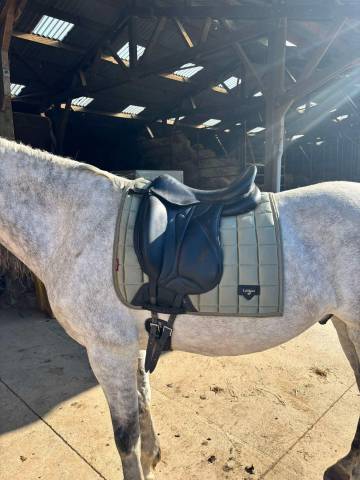 Sella da dressage Devoucoux Malika 18" - 2006