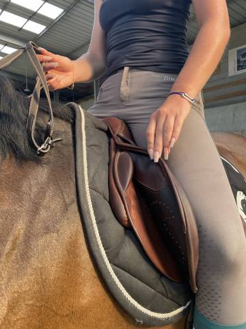 Sella da salto ostacoli Delgrange  17.5" - 2023