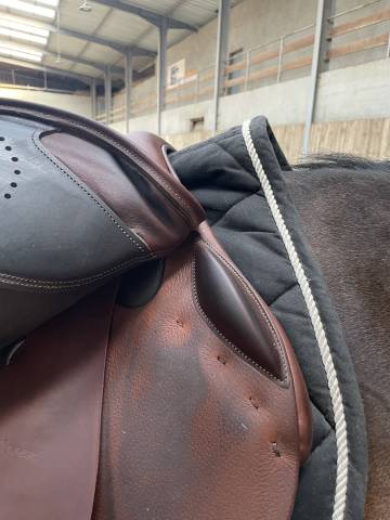 Sella da salto ostacoli Delgrange  17.5" - 2023