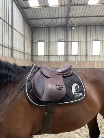 Sella da salto ostacoli Delgrange  17.5" - 2023